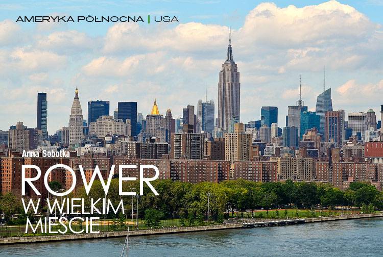 Losowy darmowy artykuł